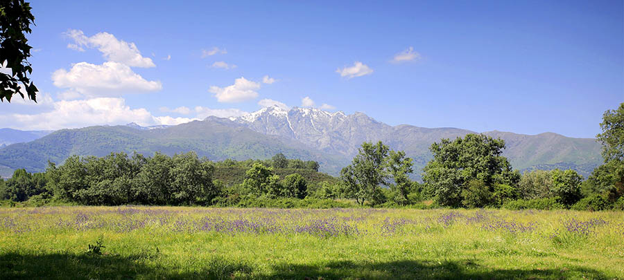 La Sierra de Gredos